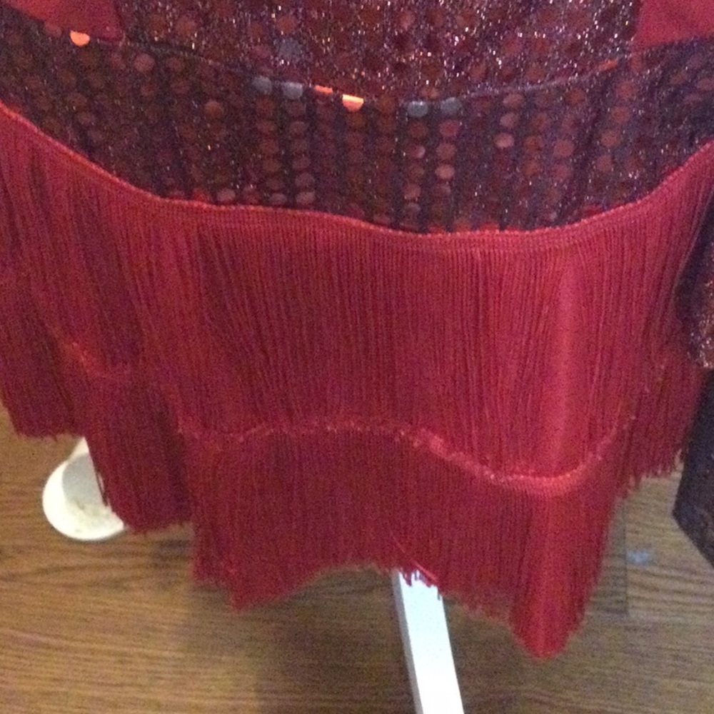 Halloween costume flapper dress NWOT - Picture 5 of 7